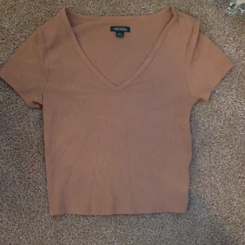 Target Wild Fable V- neck crop
